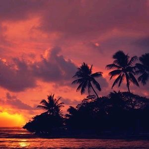 Meet your Posher, Dominic